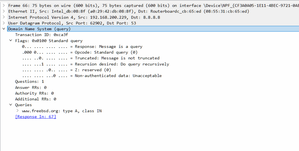 Wireshark membaca DNS
