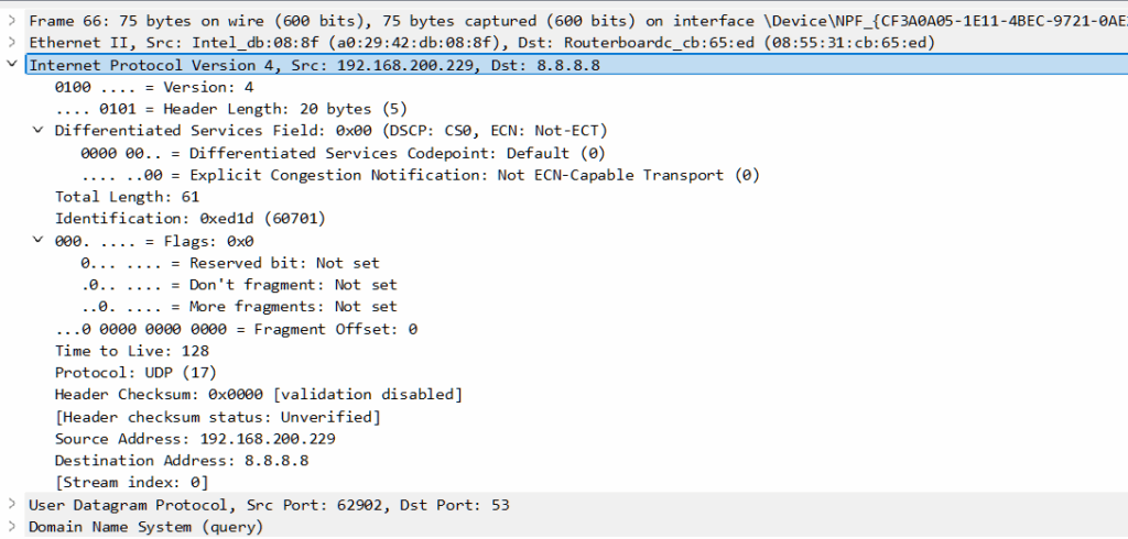 Wireshark menangkap DNS IP