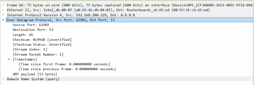 Wireshark menangkap paket UDP DNS